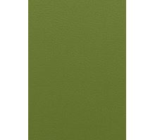 Koženka Pacific trávově zelená