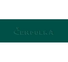 Zdrhovadlo zip plastový 45cm dělitelný šíře 6mm temně zelená