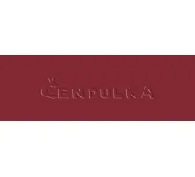 Zdrhovadlo zip plastový 40cm dělitelný šíře 6mm tm. červená