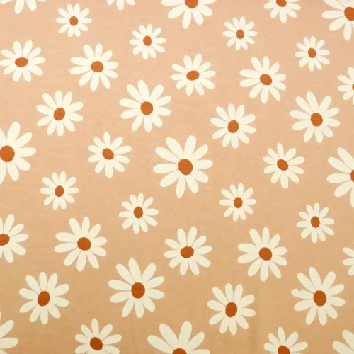 Úplet kopretina na lososově růžové