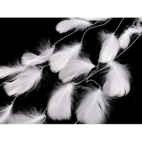 Peří na šňůrce / girlanda